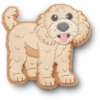 „B’golden Doodle Puppy Ozdoby na boty Jibbitz“