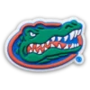 Ozdoby Jibbitz s motivem University of Florida