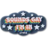 Ozdoby Jibbitz „Sounds Gay Im“