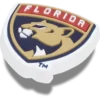 Ozdoby Nhl® Florida Panthers Jibbitz™